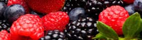 Berries