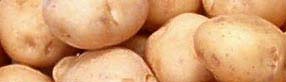 potatoes